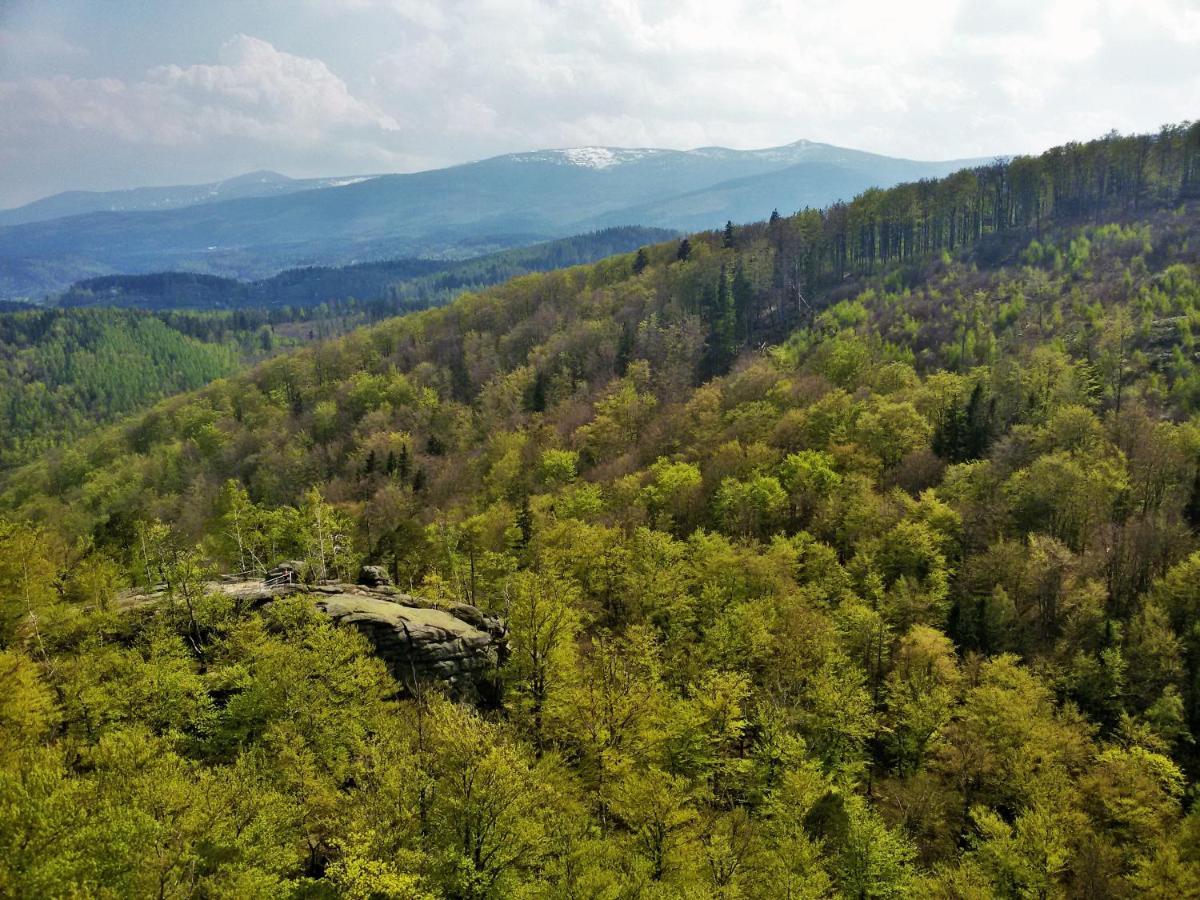 Drewniana Roza Karkonosze Appartamento *